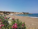 Esentepe'deki popüler Turtle Bay Resort'ta güzelce yenilenmiş 2 yatak odalı çatı katı daire + Özel plaja yürüme mesafesinde + Ortak havuzlar + Barlar ve