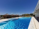 1 yatak odalı yeniden satılık tatil dairem + tamamen mobilyalı + ortak yüzme havuzları + çatı katı havuzu + spor salonu + kumsal + Pre 74 Türk tapu senedi