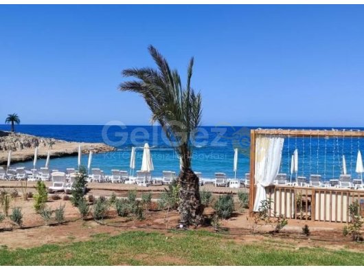 Güzel 2 yatak odalı bahçe dairesi + 2 ortak havuz + fitness merkezi + sauna + site içi restoran-kafe