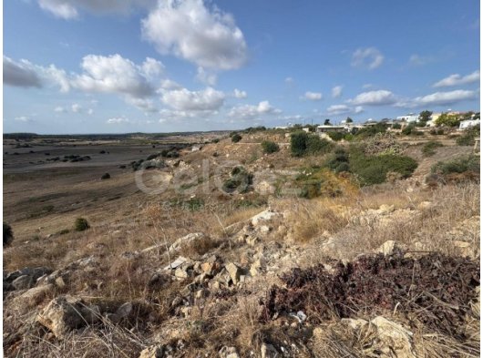 İSKELE ZİYAMET'DE SATILIK TARLA