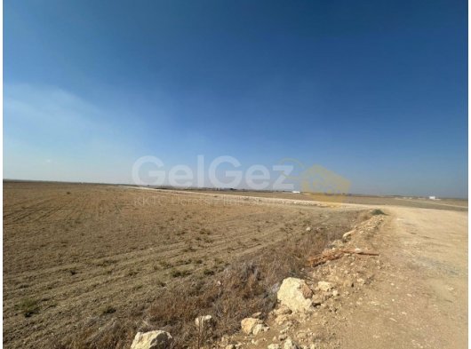 Mağusa Korkutelinde Yatırım & Kullanım Amaçlı Satılık Arsalar