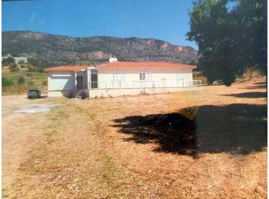 3+1 Bangalow Tek Kat