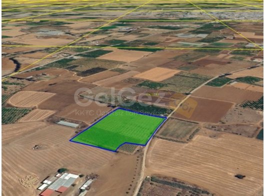 Güzelyurt Merkez'de Tek Parsel Anayola Yakın Tarımsal Tarla