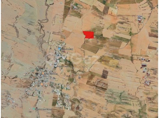 GİRNE PINARBAŞI SATILIK TARLA