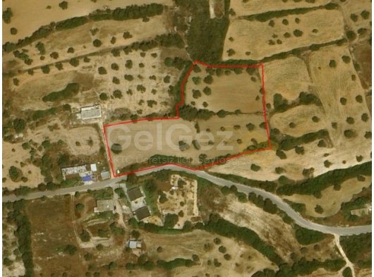 İSKELE SİPAHİ SATILIK TARLA