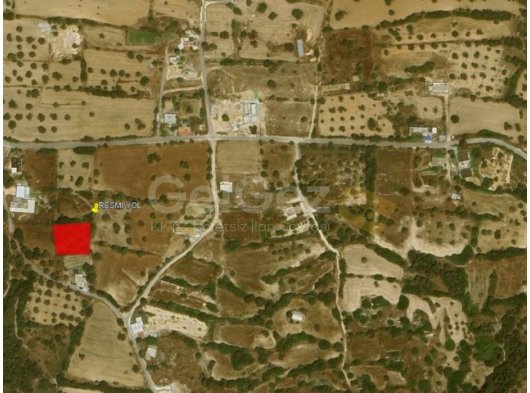 İSKELE SİPAHİ SATILIK TARLA