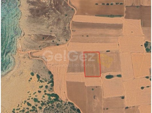 İSKELE YENİERENKÖY SATILIK TARLA