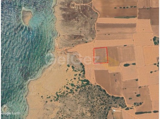 İSKELE YENİERENKÖY SATILIK TARLA