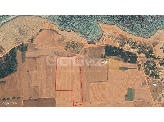 İSKELE YENİERENKÖY SATILIK TARLA