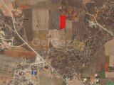 GAZİMAĞUSA MORMENEKŞE SATILIK TARLA