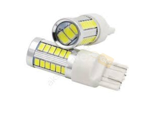 T20 Led Ampul 33 Çipli Çift Duy 12 Volt 1016