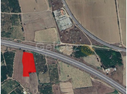 GÜZELYURT AŞAĞI BOSTANCI SATILIK TARLA