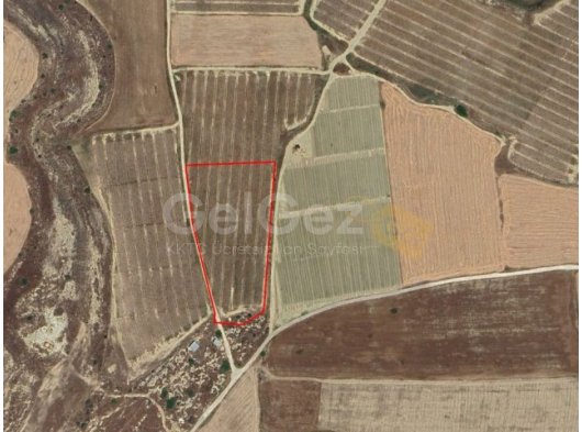 İSKELE AYGÜN SATILIK TARLA