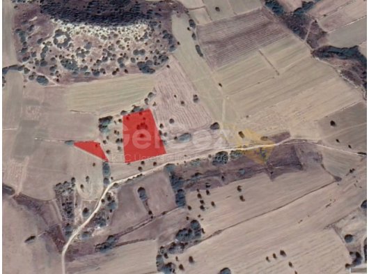 İSKELE KUMYALI SATILIK TARLA