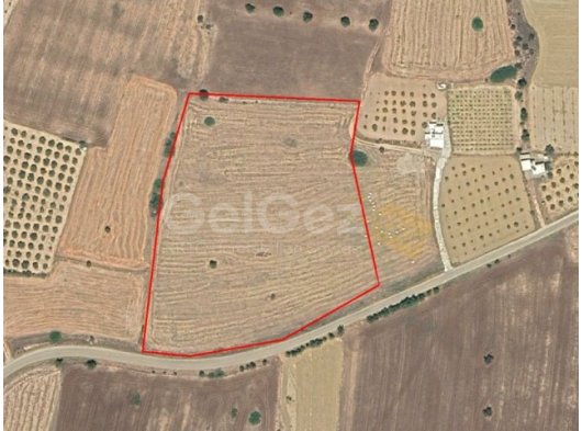 İSKELE SAZLIKÖY SATILIK TARLA