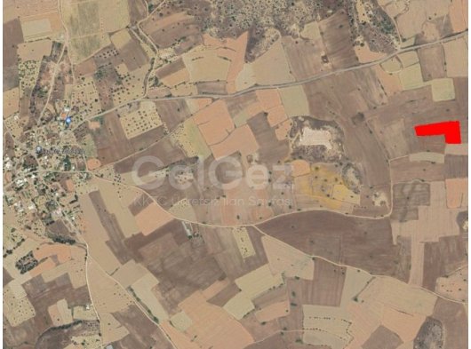 İSKELE SAZLIKÖY SATILIK TARLA