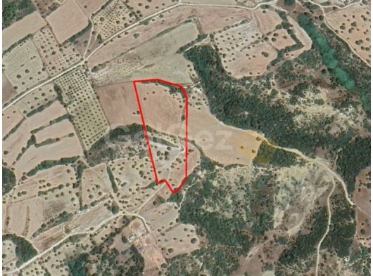 İSKELE SİPAHİ SATILIK TARLA