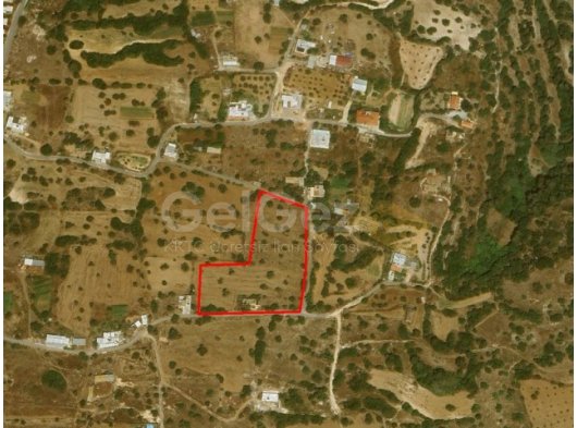 YATIRIM FIRSATI!!!İSKELE SİPAHİ SATILIK TARLA