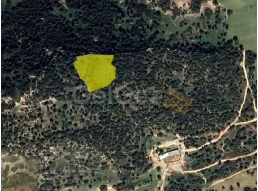 İSKELE TAŞLICA SATILIK TARLA