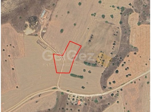 İSKELE TUZLUCA SATILIK TARLA