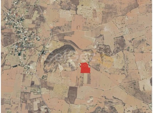 İSKELE YARKÖY SATILIK TARLA