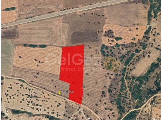 İSKELE YEDİKONUK SATILIK TARLA