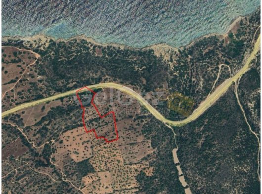 TÜRK KOÇANLI!!!İSKELE YEDİKONUK SATILIK FASIL 96 TARLA