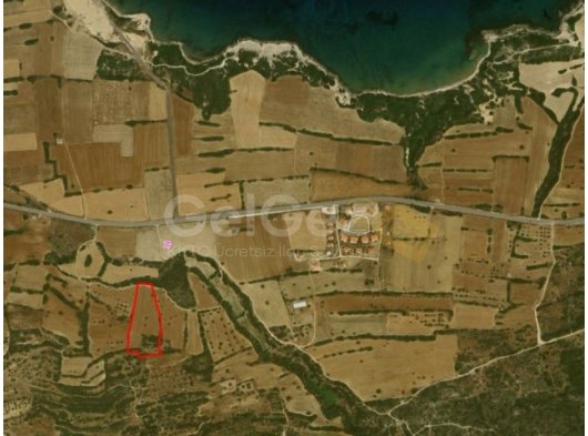 İSKELE YENİERENKÖY SATILIK TARLA