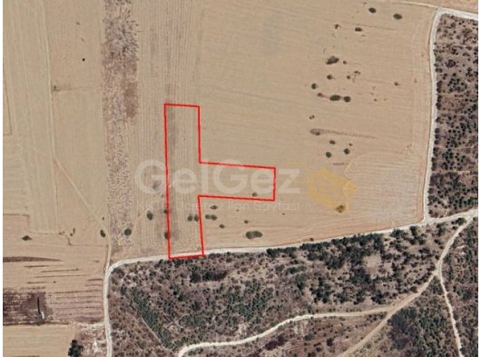 GAZİMAĞUSA ASLANKÖY SATILIK TARLA