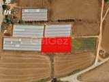 GAZİMAĞUSA AŞAĞI MARAŞ SATILIK TARLA
