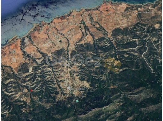 GAZİMAĞUSA TATLISU SATILIK TARLA