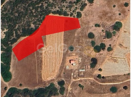 TEK YETKİLİ!!! GAZİMAĞUSA TATLISI SATILIK TARLA