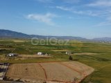 TAKASA AÇIK!!! GAZİMAĞUSA ULUKIŞLA SATILIK TARLA