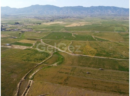 GAZİMAĞUSA ULUKIŞLA SATILIK TARLA