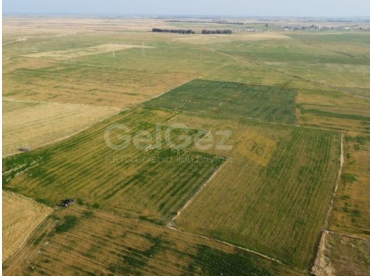 GAZİMAĞUSA ULUKIŞLA SATILIK TARLA