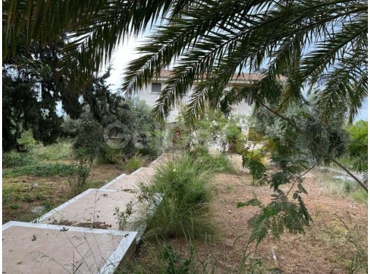 GİRNE ZEYTİNLİK BÖLGESİNDE EŞYASIZ 3+1 KİRALIK VİLLA