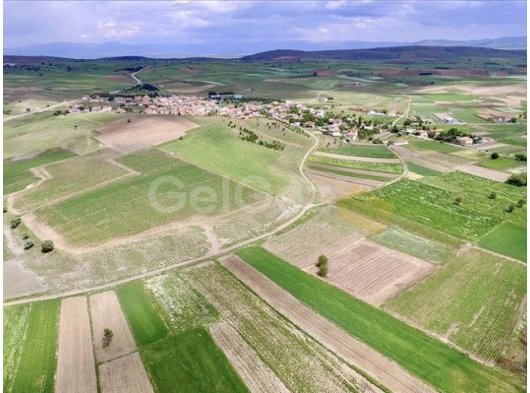 Bellapais - Girne'de Türk Koçanlı Satılık 4 Dönüm Arsa