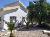 Esentepe, 3+1 havuzlu bungalo +905428777144 Русский, English, Türkçe