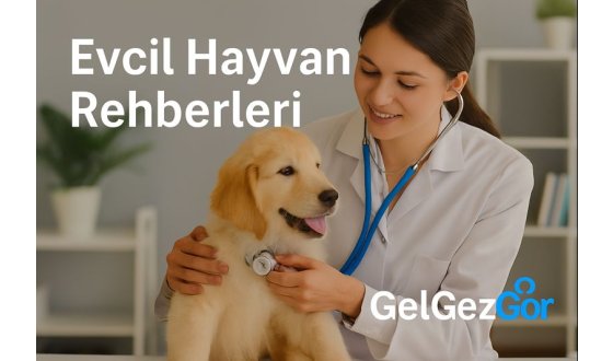 Evcil Hayvan Rehberleri – Kıbrıs’ta Evcil Hayvan Sahiplenme, Bakım ve Yaşam Koşulları