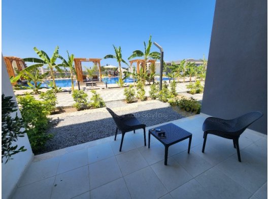 Lapta, denize 0, havuzlu sitede kiralik 2+1 loft daireler, 2 ADET KALDI +905428777144 Русский, Türkçe, English