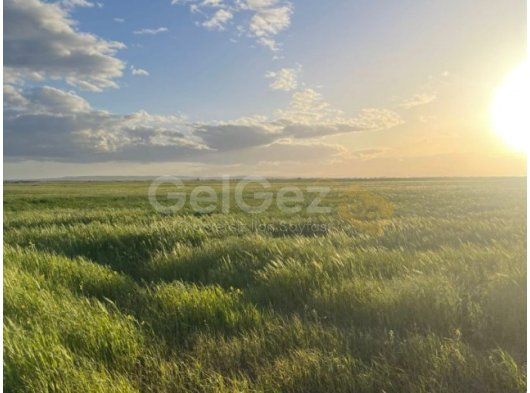 SATILIK ARSA - SADECE 105.000 £ İÇİN 3.8 DÖNÜM