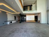 GİRNE MERKEZDE TİCARI İZİNLİ KİRALIK OFİS PENTHOUSE