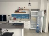 Kiralık Modern 1+1 Daire – Palmiye Körfezi Manzarası, Bahçeli