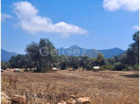 4 Yarı İnşa Edilmiş Villaya Sahip 10 Dönüm Arazi — Denize Yakın