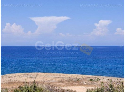 Tamirat Projesi. Korunan Doğal Bir Bölgede Yenileme Potansiyelin
