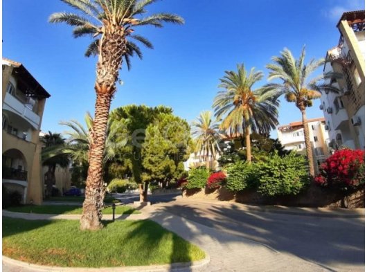 Girne Merkezde Havuzlu site içinde satılık 1+1 daire