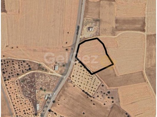 GAZİMAĞUSA SÜTLÜCE BÖLGESİNDE SATILIK TÜRK MALI ARAZİ