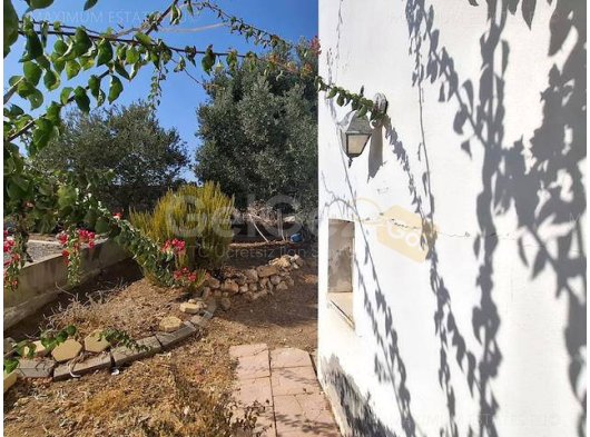 Mütevazı Bir Fiyata, Doğal Korumanın Huzuruyla Çevrili, Deniz Kenarında Bir Ev Almak İçin Ender Bir Fırsat! Eğer Dünyadan "Coğrafyanın Sonundaki" Gizl