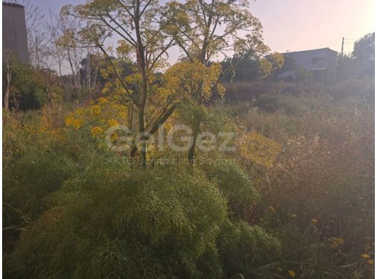 Girne Çamlıbel'de Konut İmarlı Arsa Satılık