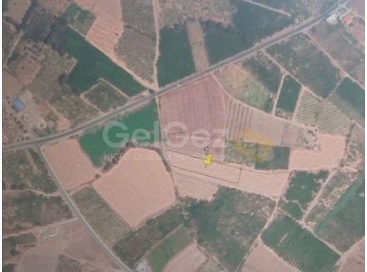 Güzelyurt-Güneşköy'de ana yola 100 metre mesafede satılık arsa.